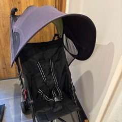 エンドー　クールキッズ　バギーの画像