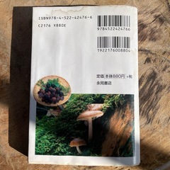 本　きのこ　の画像