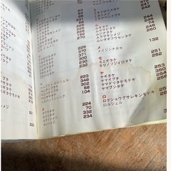 本　きのこ　の画像