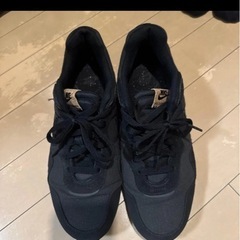 ナイキ スニーカーメンズ Venture Runner DJ1969-001 NIKE  runの画像