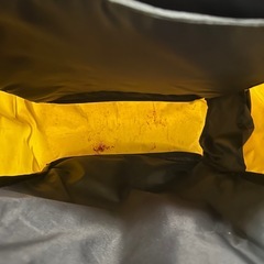 THE NORTH FACE FUSE BOX バックパックの画像