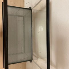 【商談中】60cm水槽2台の画像