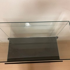 【商談中】60cm水槽2台の画像