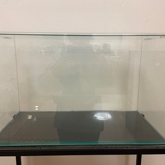 【商談中】60cm水槽2台の画像