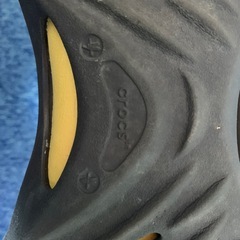 クロックス エコー ウェーブ の画像