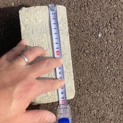 手作りレンガの画像