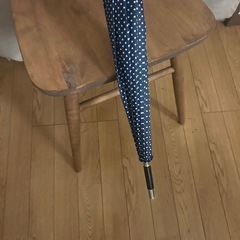 ドット柄傘の画像