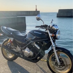 バリオス2型の画像