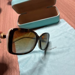 ティファニー　ウェリントン　サングラス　べっこう　イタリア製の画像