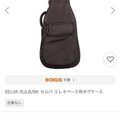 SELVA ベース用ケースの画像