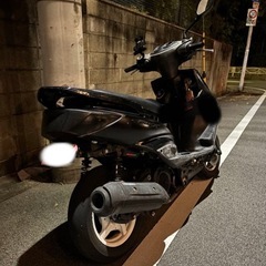 シグナス2型の画像