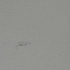 IKEAラック(サイドテーブル)の画像