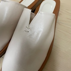 未使用スリッポンの画像