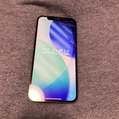 iPhone 12 Pro 256GB の画像