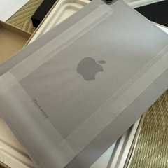 早い者勝ち 新品 iPad mini 7 256GB セルラー SIMフリー Apple care スペースグレイ おまけ多の画像