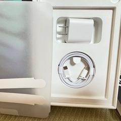 早い者勝ち 新品 iPad mini 7 256GB セルラー SIMフリー Apple care スペースグレイ おまけ多の画像