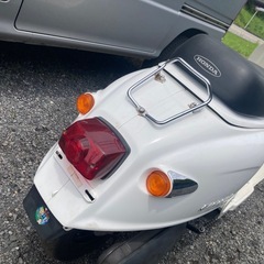 ジョルカブ の画像