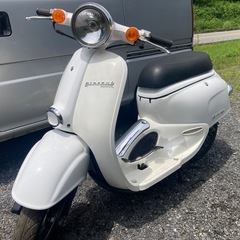 ジョルカブ の画像