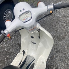 ジョルカブ の画像