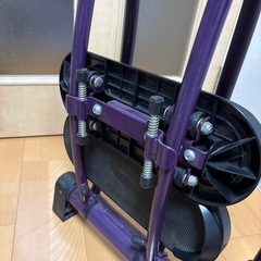 レッグマジックの画像