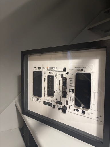 iPhone 5 Black 標本アート