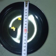 新品未使用　HANAE MORI   CHIKI CHIC  菓子鉢＆茶托セットの画像