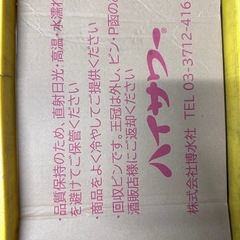 ハイサワー 200ml 24本スンチー杏仁檸檬の画像