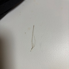 ダイニングテーブルセットの画像