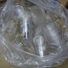 使用済み 昆虫（成虫、幼虫）飼育用各サイズカップ多数の画像