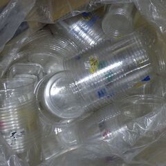 使用済み 昆虫（成虫、幼虫）飼育用各サイズカップ多数の画像