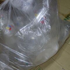 使用済み 昆虫（成虫、幼虫）飼育用各サイズカップ多数の画像