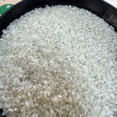 夢しずく、ひなたまる、さがびより、
の画像