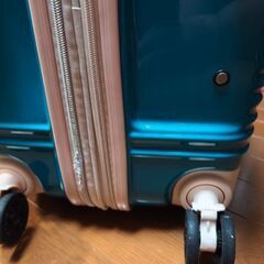 キャリーバッグの画像