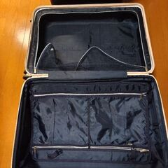 キャリーバッグの画像