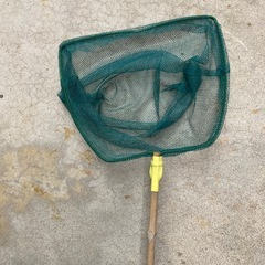 虫取り網の画像