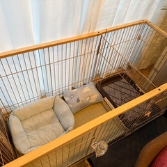 美品　ペットケージ　犬用の画像