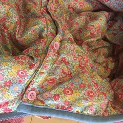 ミキハウスピクニック　110cmの画像