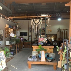 水槽、めだか、の画像