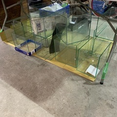 水槽、めだか、の画像