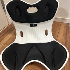 姿勢矯正クッションチェア　腰痛予防の画像