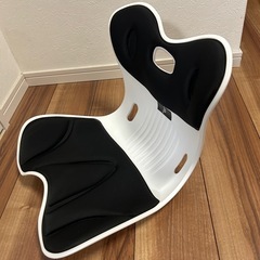 姿勢矯正クッションチェア　腰痛予防の画像