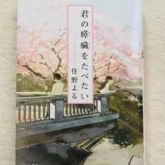 小説　・ペン字練習の画像