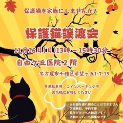 11/16保護猫譲渡会　名古屋市