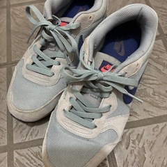 NIKE日本サイズ25.5cmの画像