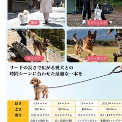 20m ロング リード 犬 の画像