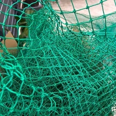 防球ネットや防鳥ネット
の画像