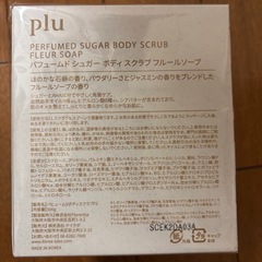 Pluボディスクラブの画像