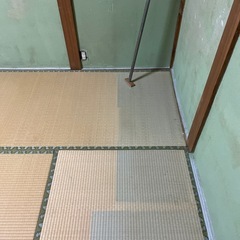 畳の画像