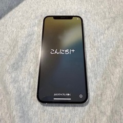 早い者勝ち！iPhone 12pro 256GB シルバーの画像