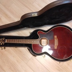 Takamine エレアコDMP551C WRの画像